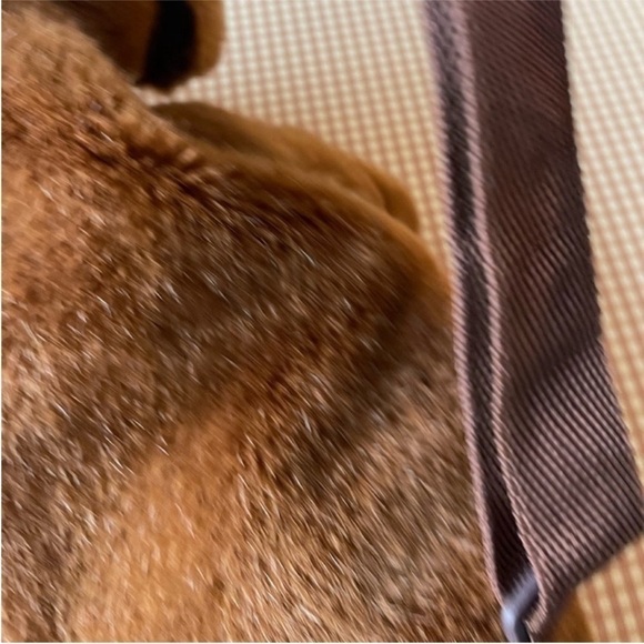 Vintage Dog Faux Fur‎ small backpack main image 9